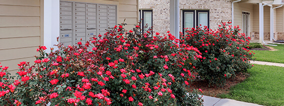 amenities image